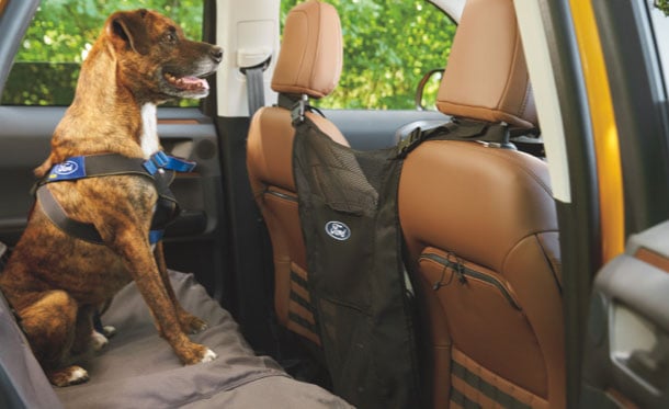 Barrera Covercraft en Kit de Accesorios Originales para Mascota de Ford Bronco 2 Puertas