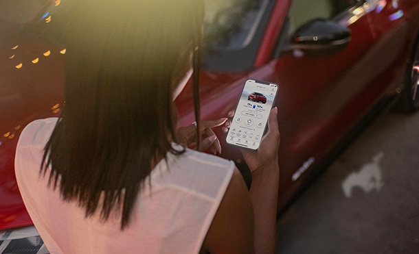 Conexión Excepcional