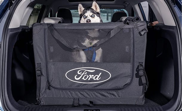 Contenedores para Mascotas de Camioneta y más Accesorios para SUV Ford Territory 2023