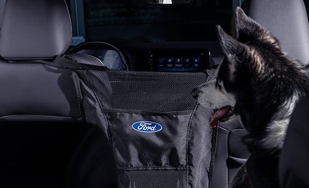 Barrera para Mascota Accesorio para Camioneta SUV Ford Territory 2023